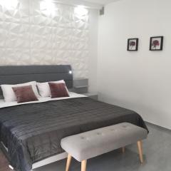 Apartman SONAS 2 with free private parking