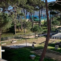 T2 neuf bord de plage - terrasse - CALVI