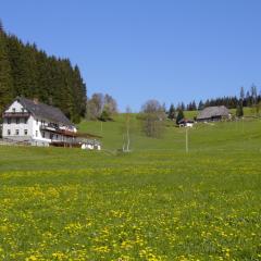 Gasthaus Pension Donishäusle