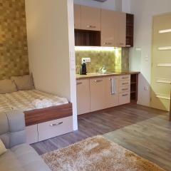 Embassy Studio Apartment Citypark