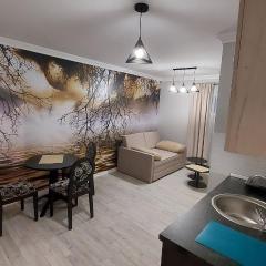 APARTMAN studio DADO