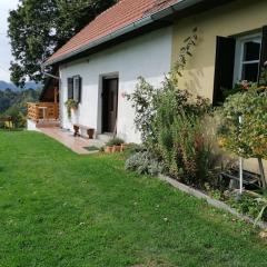 Rural house above the forest