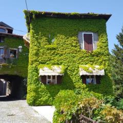 The Ivy House in the Castle