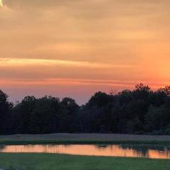 Purple Skies Homestead