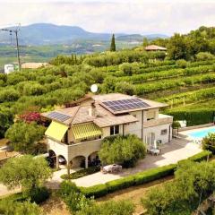 Valpolicella Hills