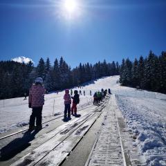 Apartmajsko naselje Ribniško Pohorje