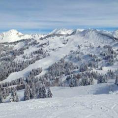 Studio cosy a Les Gets 25 m² avec vue montagne