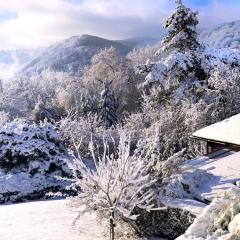 Vintage Chalet in Sougn Remouchamps near Forest