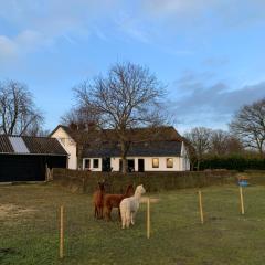 Hoeve Zandbelt