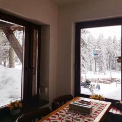 Apartman sa terasom Vila Mina Kopaonik