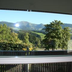 Haus "Bergblick" Ferienwohnung Falken mit 1 Schlafzimmer