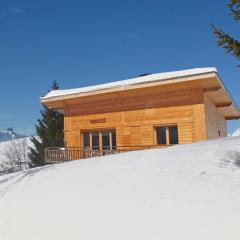 Comfortable chalet located almost on the ski slopes of Plan Peisey