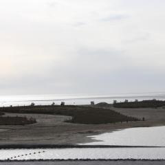 Direkt am Meer in Büsum