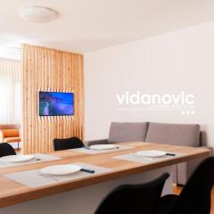 Lux Family Apartment Vidanovic