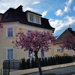 Wohnen in Jugendstilvilla im Herzen von Klagenfurt