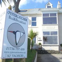 Oystercatcher