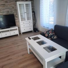 Apartament za świerkami