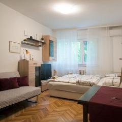 Studio Apartment Vijenac