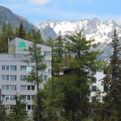 Strbske Pleso Smrek Penthouse Apartment