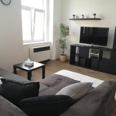 Fine apartment in centrum of Slaný with Aircondition