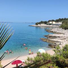 Apartments Galeb