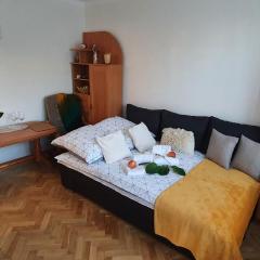 Apartament Park Saski II