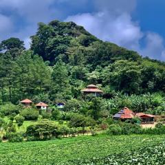 Finca Neblina del Bosque