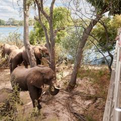 Victoria Falls River Lodge