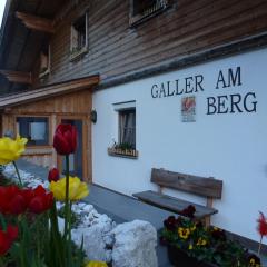 Galler am Berg