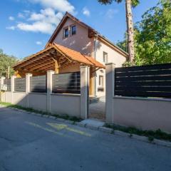 Casa Sonia Sighisoara