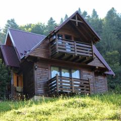 Cottage "Karpatske Shale"