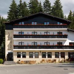 Manor Ski Hotel