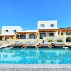 Privilege houses Mykonos