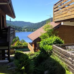 Chalet Vosgien