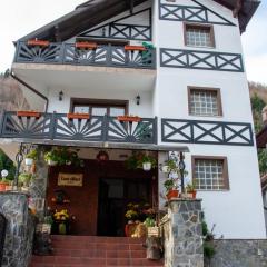 Casa Albert Sinaia