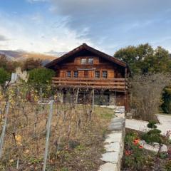 chalet à Savièse en bordure de forêt