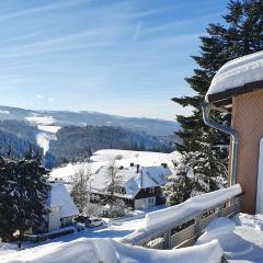 Landhaus-Apartment Feldbergblick