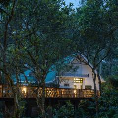 Reen Resorts Aanavilasam Plantation Thekkady