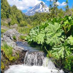 Vista al volcán con tinaja y río en Conguillío