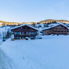 Apartment with terrace at the foot of the slopes