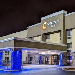 Comfort Inn Matteson - Chicago