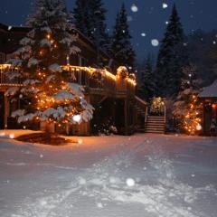 Chalets et Studios Le Vent Du Nord