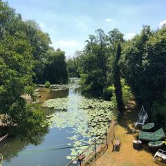 Magnifique Moulin proche Chablis, jacuzzi et rivière