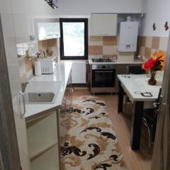 Apartament Ioana