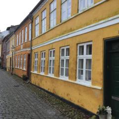 Ribe centrum i fredet hus