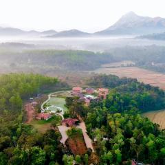 Machaan Plantation Resort, Sakleshpur