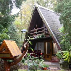 Ferienhaus mit Kaminofen am Duemmer See in Perlin