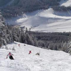 Apartment in Vordernberg near ski area