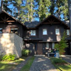 PUCON HOUSE - Lake Access & Near Ski Center