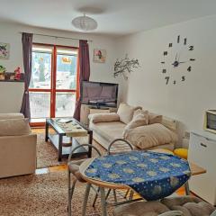 APARTMAN SNOW Vlašić